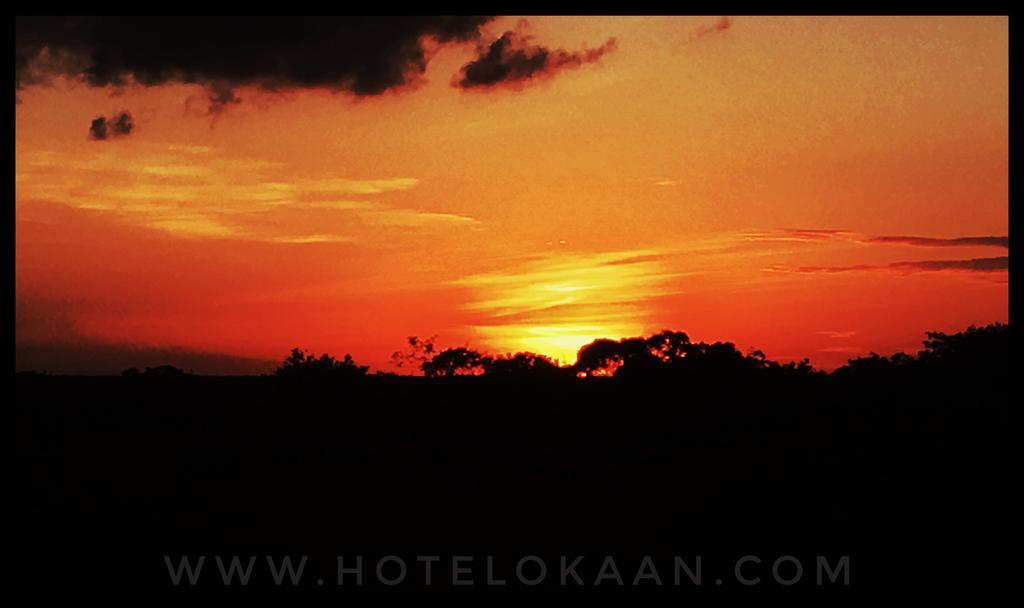Hotel Okaan 5*