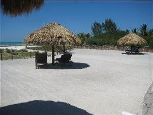 & Suites