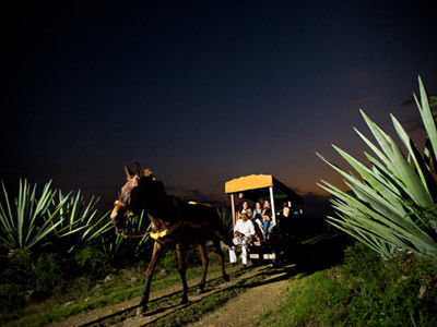 Hacienda Viva Sotuta De Peon Hotel 3*