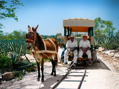 Hacienda Viva Sotuta De Peon 3* Tecoh