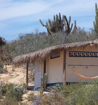 Palapas Ventana