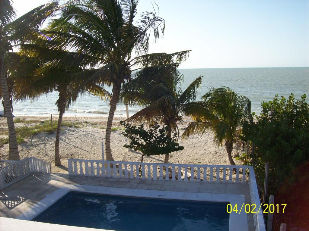 Guest house Flamingo Celestun