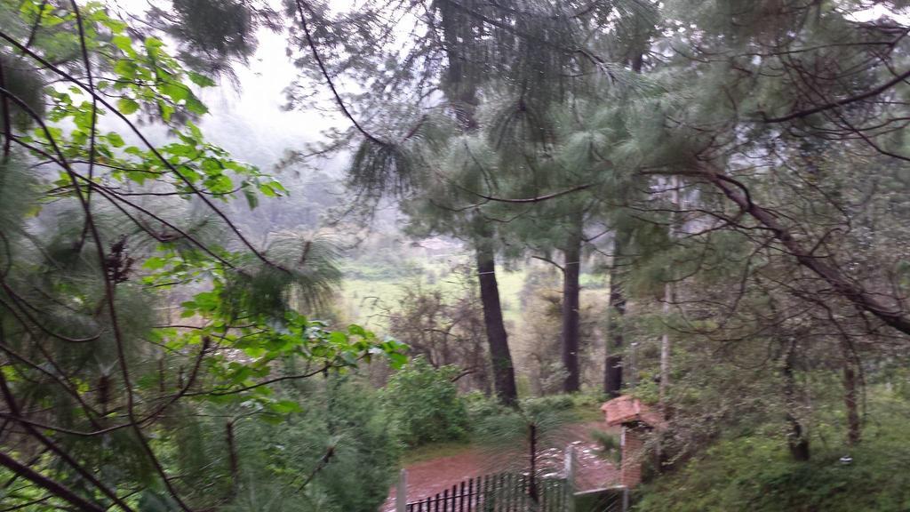 Campsite Alazanas