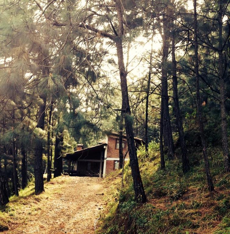Campsite Alazanas 3*