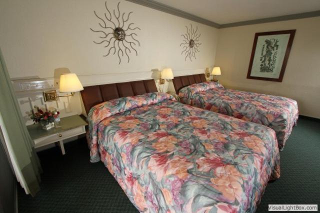 Hotel Estero