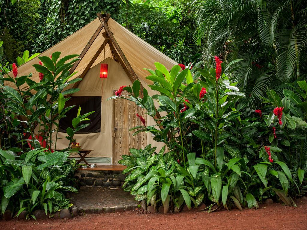 Picocanoa Rodavento Lodge *