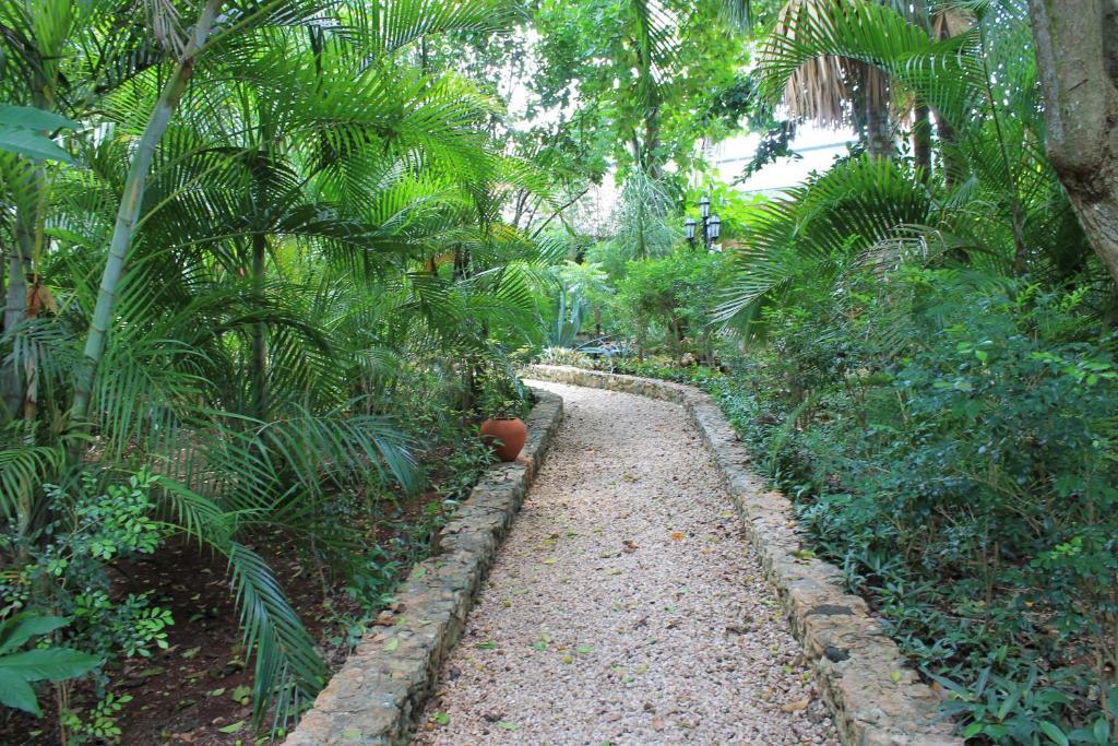Casa Quetzal Hotel 4*