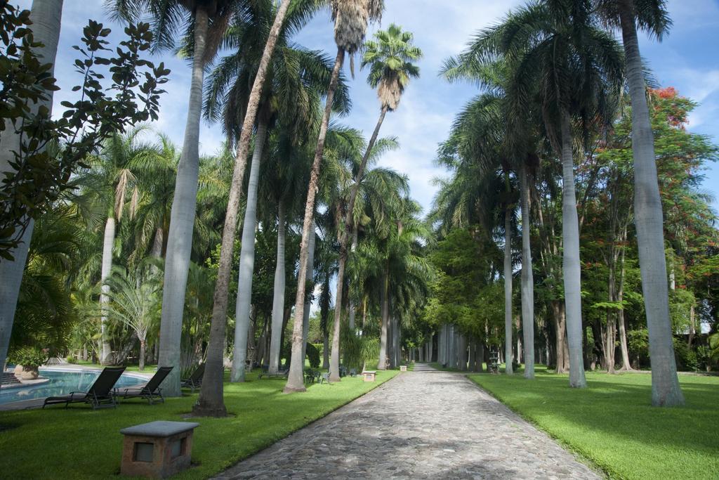 Hacienda San Gabriel De Palmas 5* Amacuzac