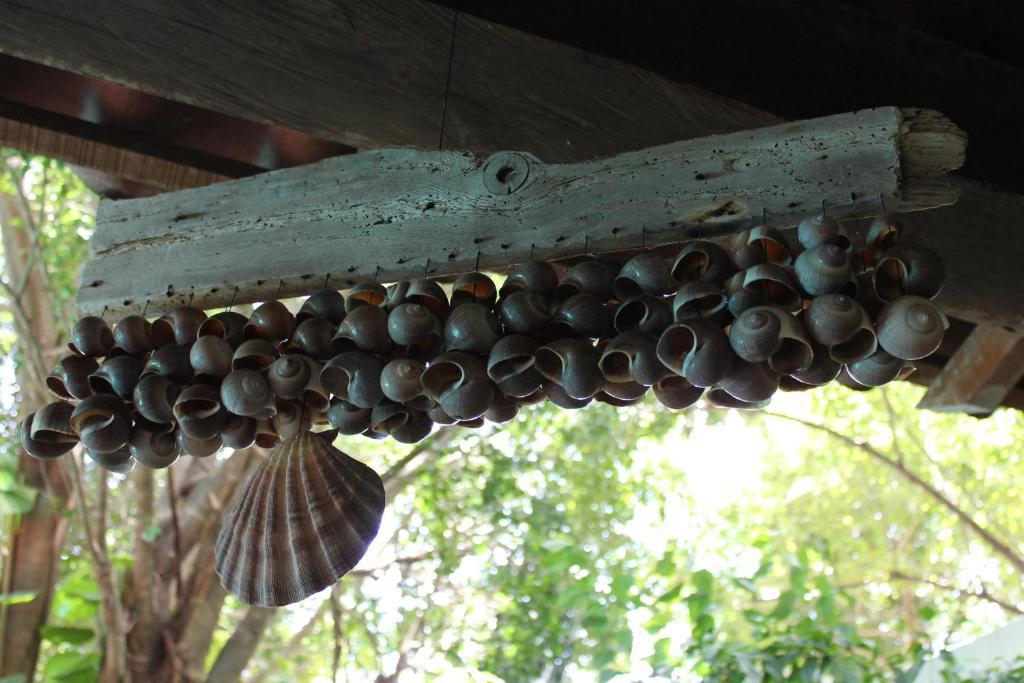 Casa Quetzal Valladolid (Yucatan)