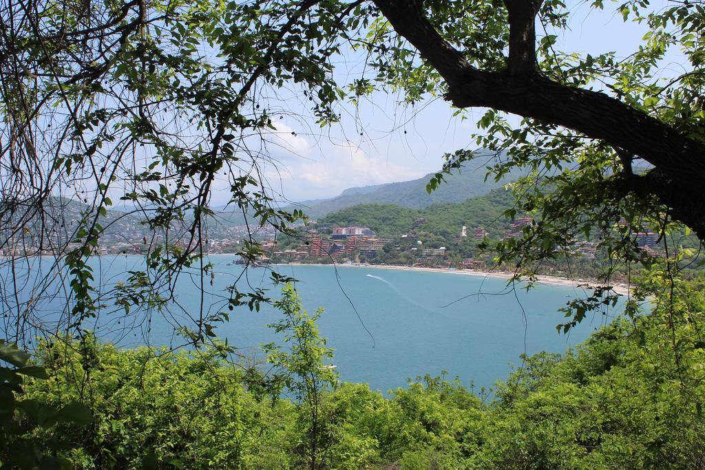 Mangos * Zihuatanejo