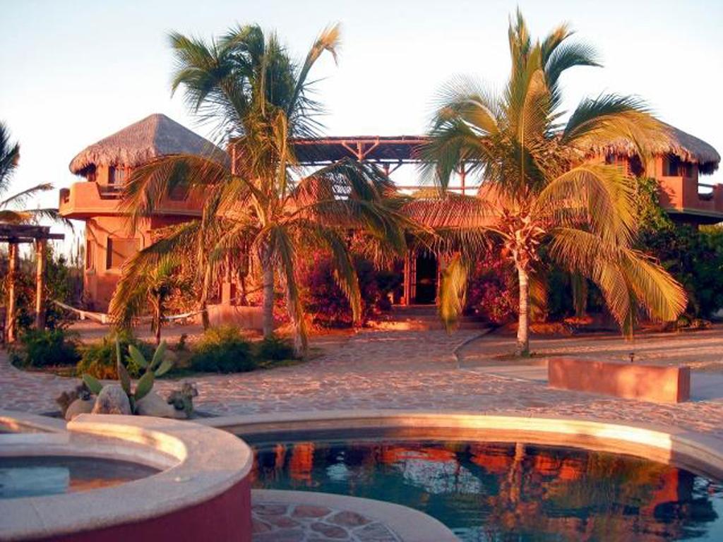 Flora Del Mar