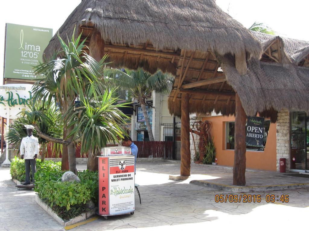 Pez Vela * Cancun