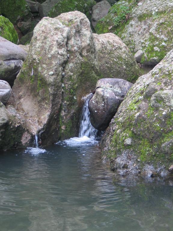 Ollin Calli Hostal-temazcal Country house *