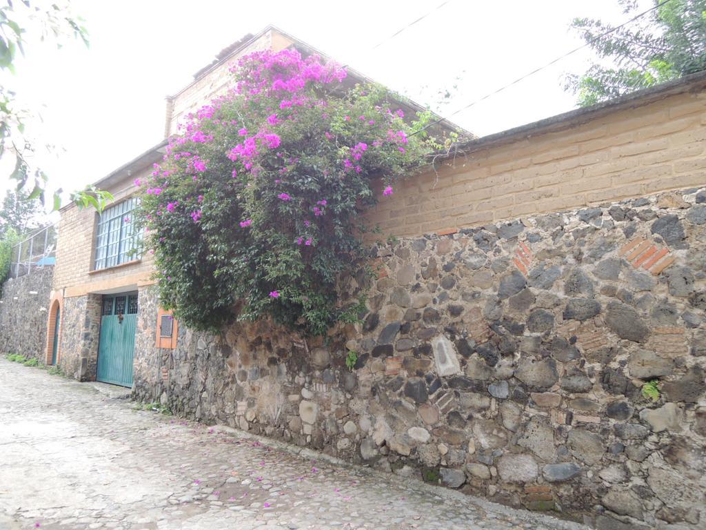 Ollin Calli Hostal-temazcal Tepoztlan