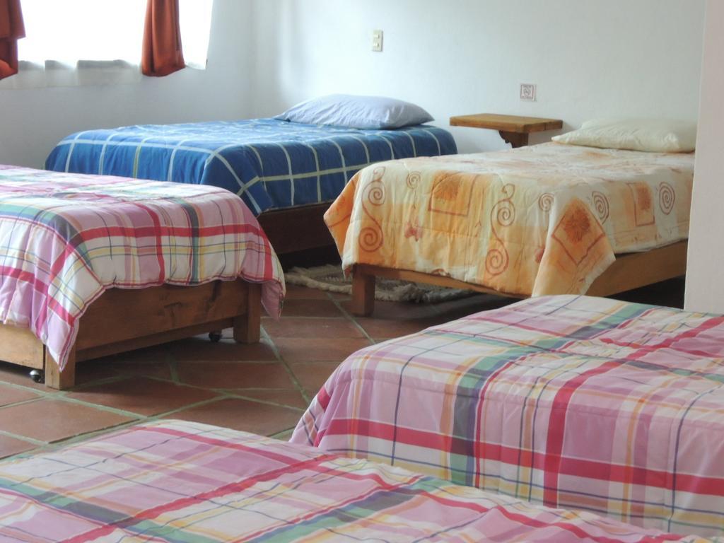 Ollin Calli Hostal-temazcal
