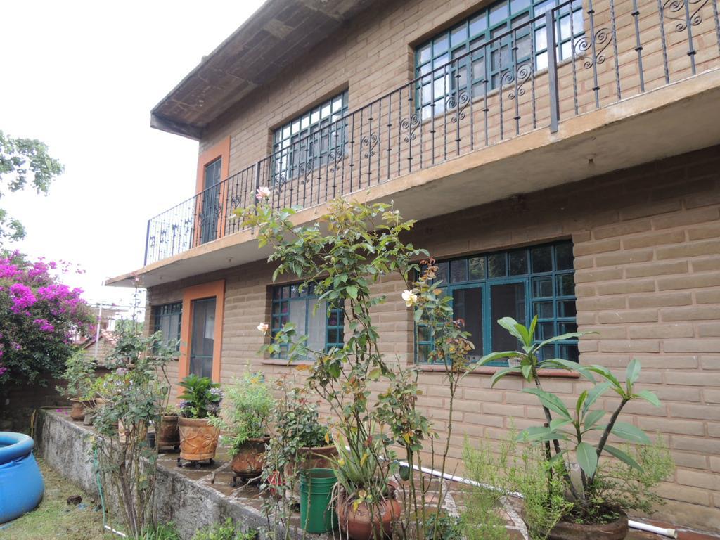 Ollin Calli Hostal-temazcal