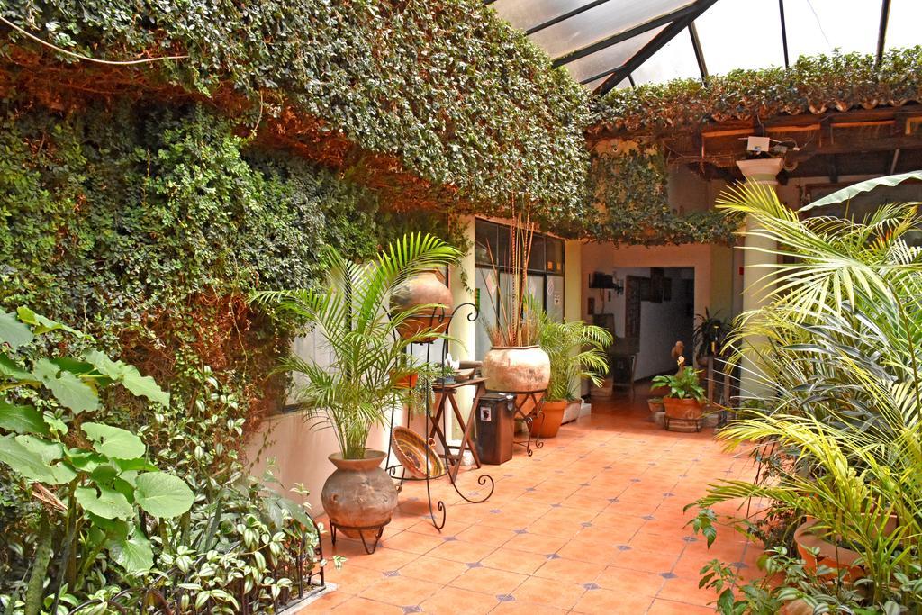 Hotel San Luis