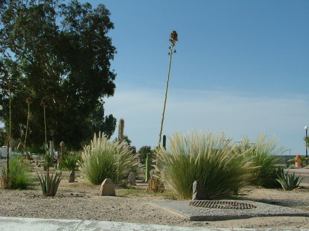 San Felipe Marina 3* San Felipe (Baja California)