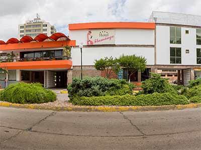 Flamingo Hotel Irapuato