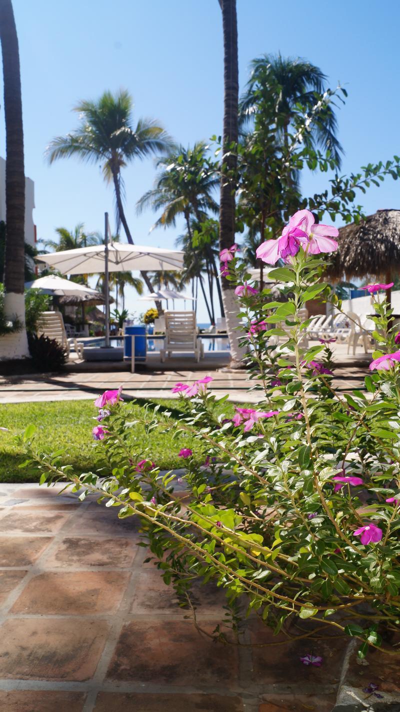 Hotel Surf Olas Altas