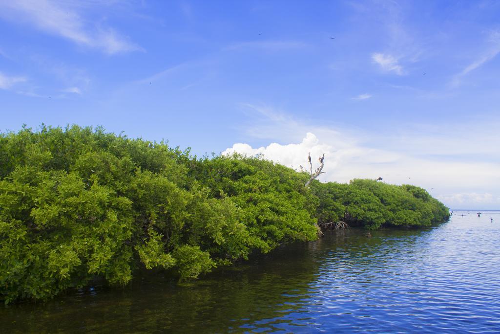 Hotel San Felipe Yucatan San Felipe (Yucatan)