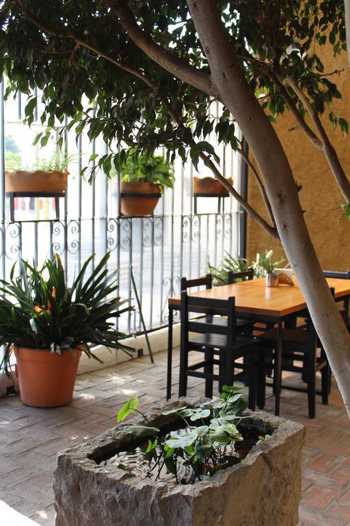 Rustiko 3* Oaxaca