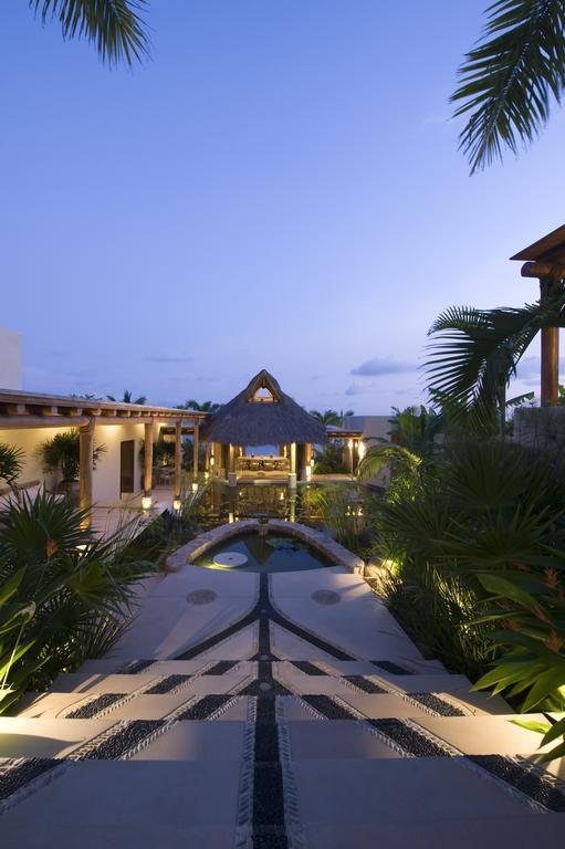 Koi Bahia de Banderas