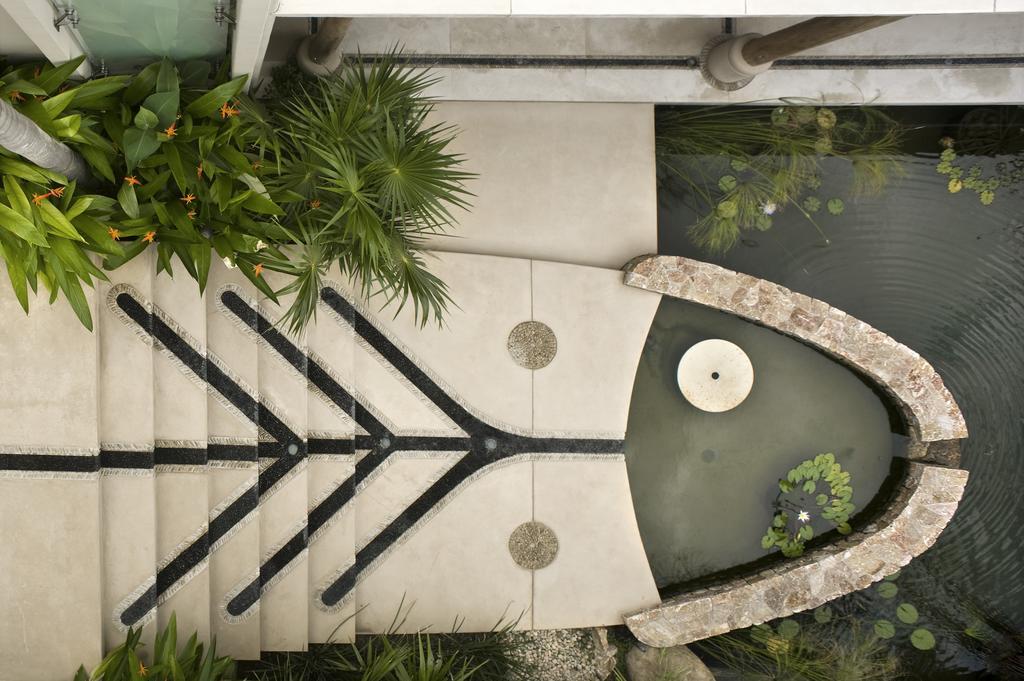Koi *