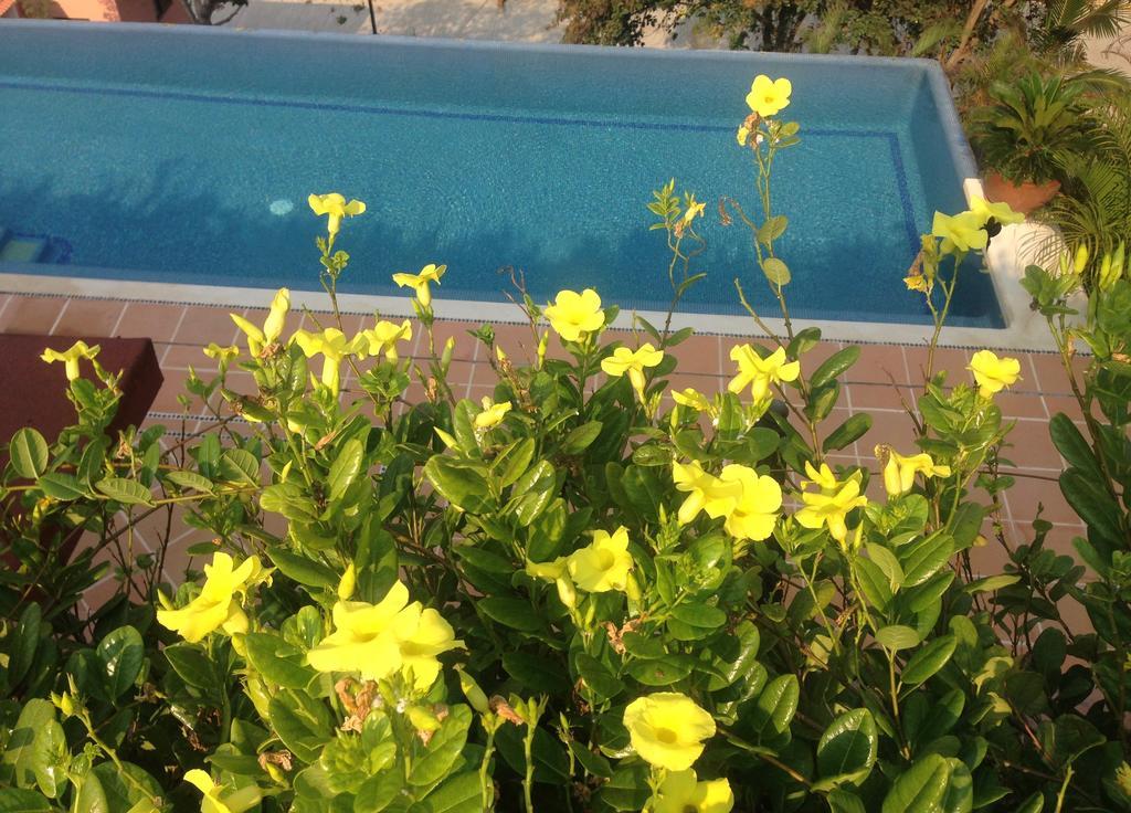 Casa Camila Zihuatanejo