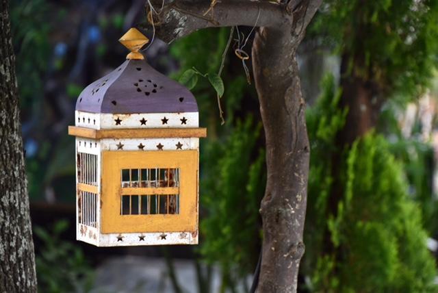Hotel Hotel Boutique Teocalli