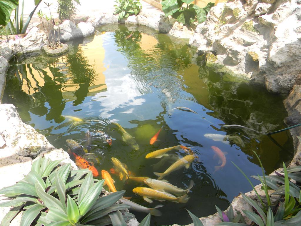 Hacienda Coba