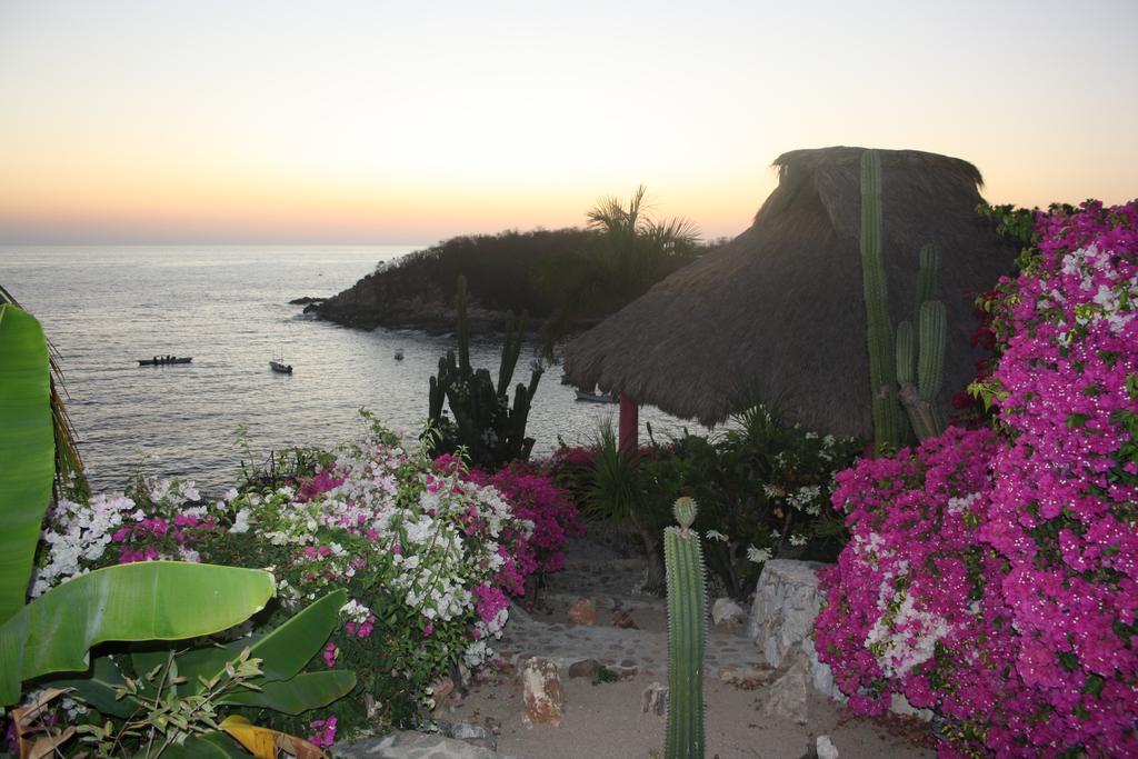 Cactus Escondido Villa Puerto Escondido (Oaxaca)