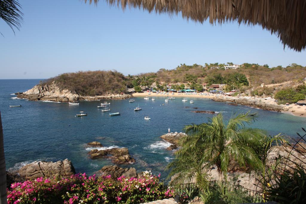 Cactus Escondido * Puerto Escondido (Oaxaca)