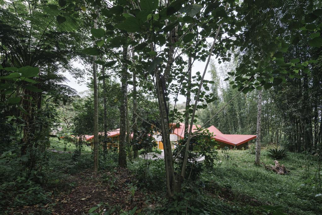 Tosepan Kali Guest house 3*