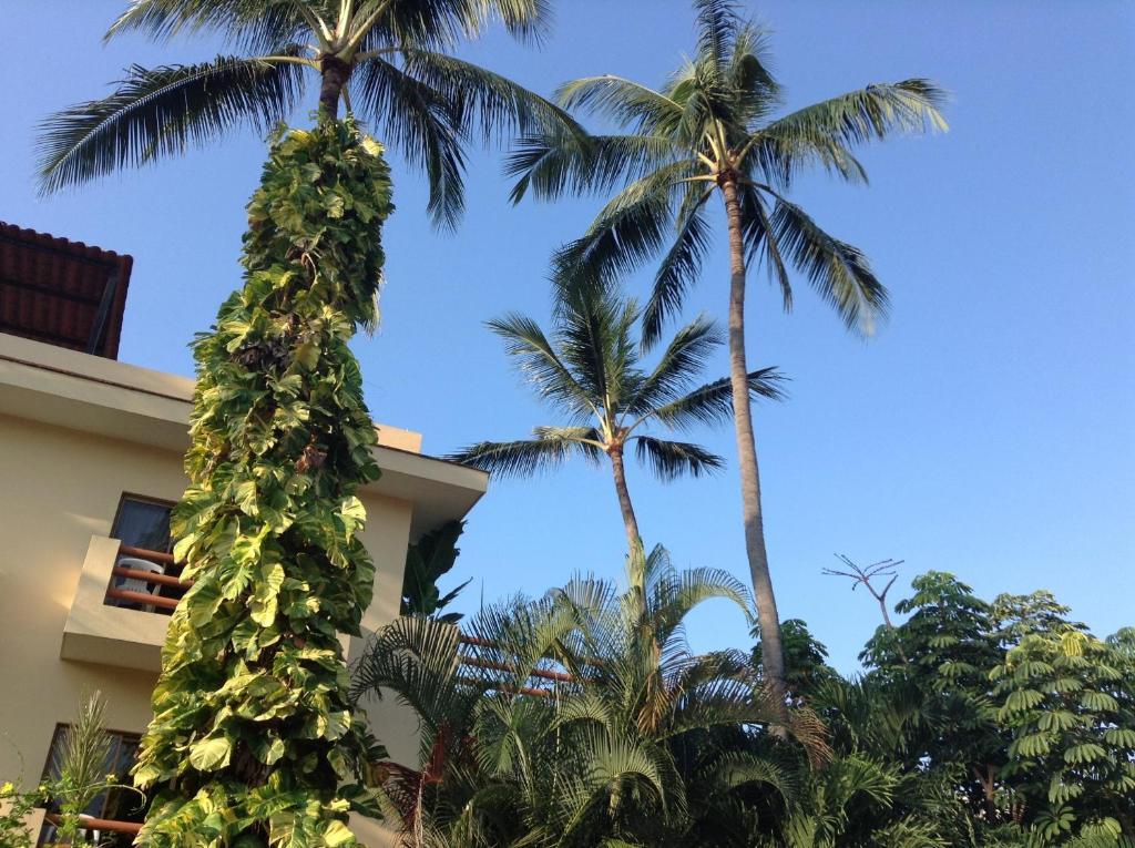 Hotel Palmeras 3*