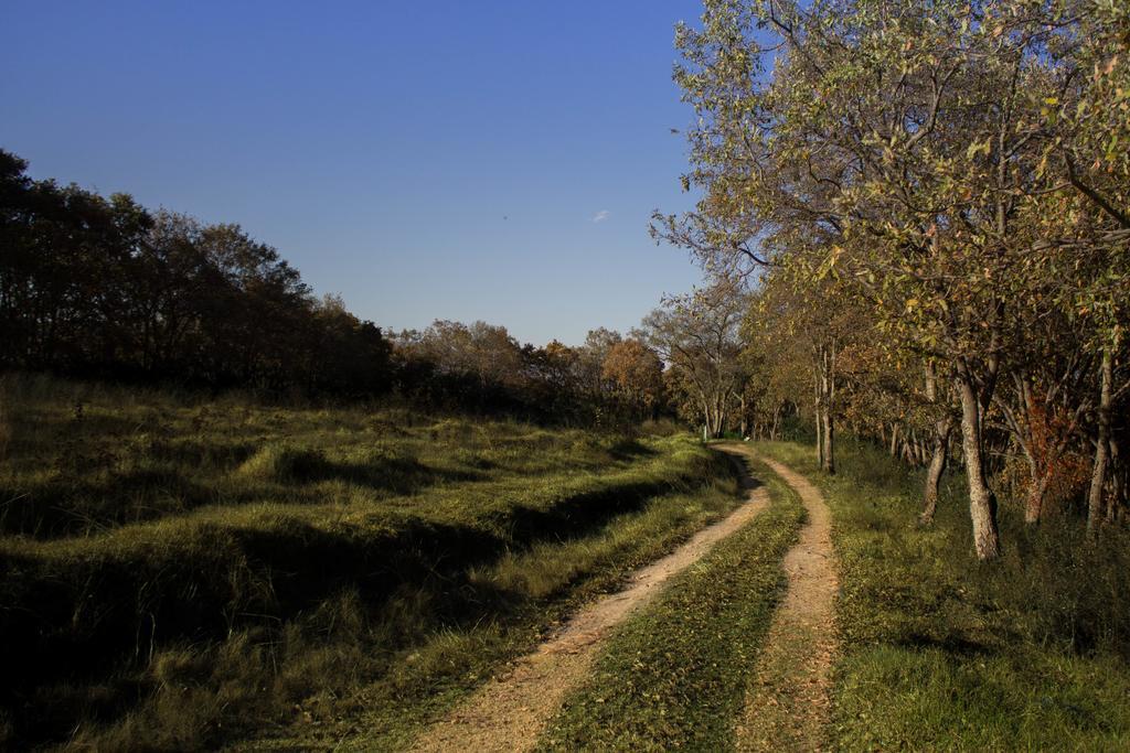 Rancho Madronos
