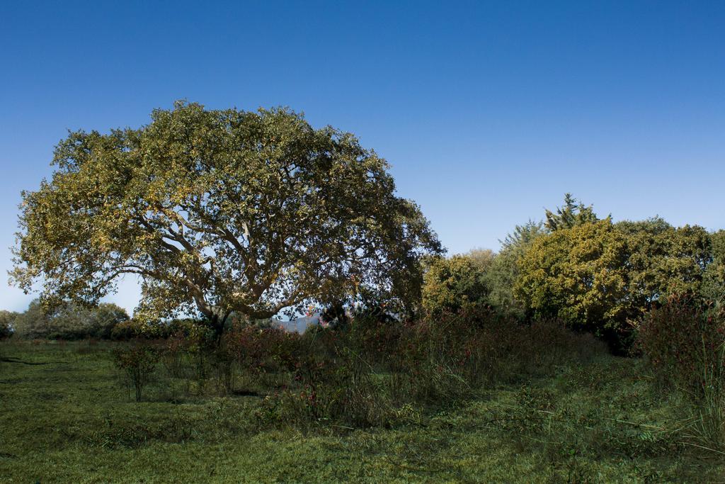 Rancho Madronos Villa del Carbon
