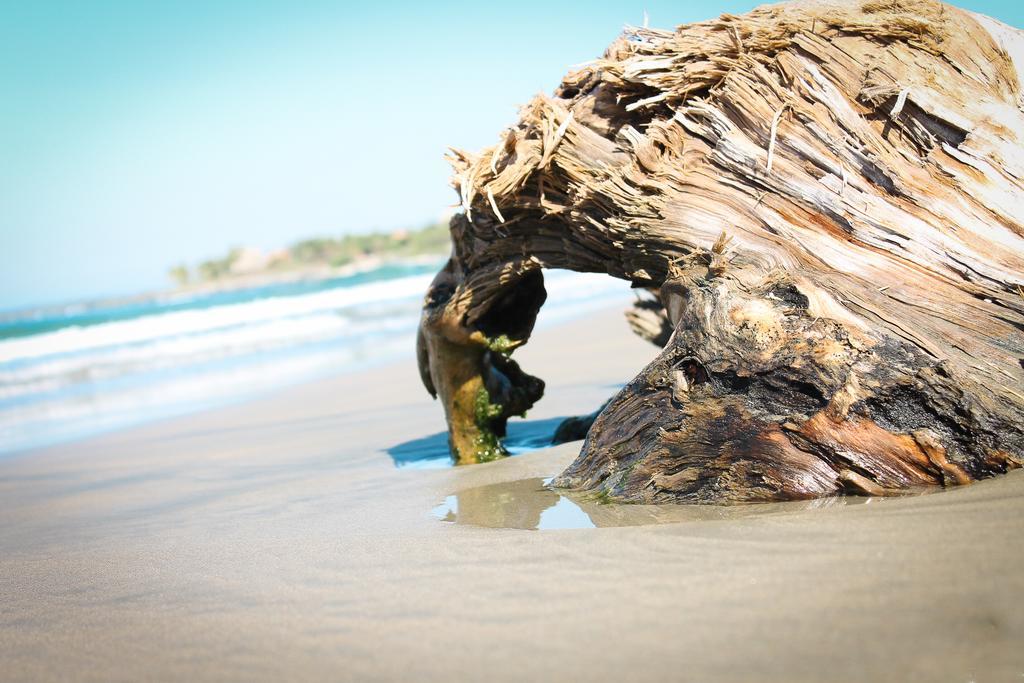 Point Hostel Troncones