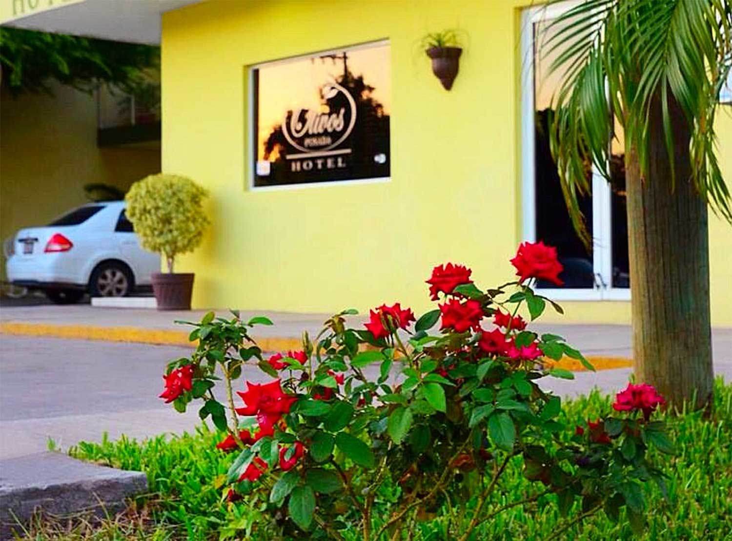 Olivos Hotel Los Mochis