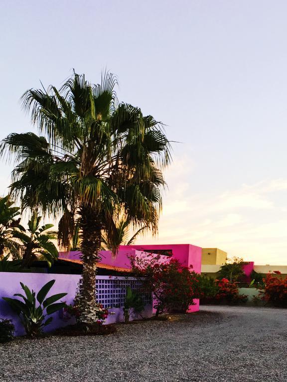 Hotel The Hotelito 3*
