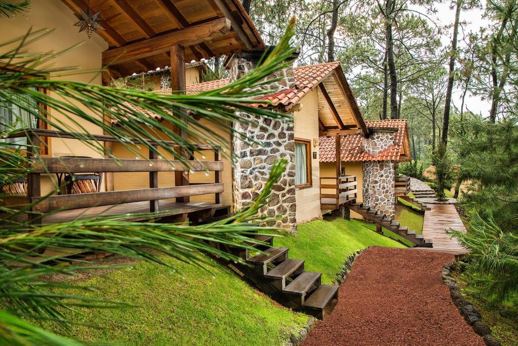 Bosque Escondido 5*
