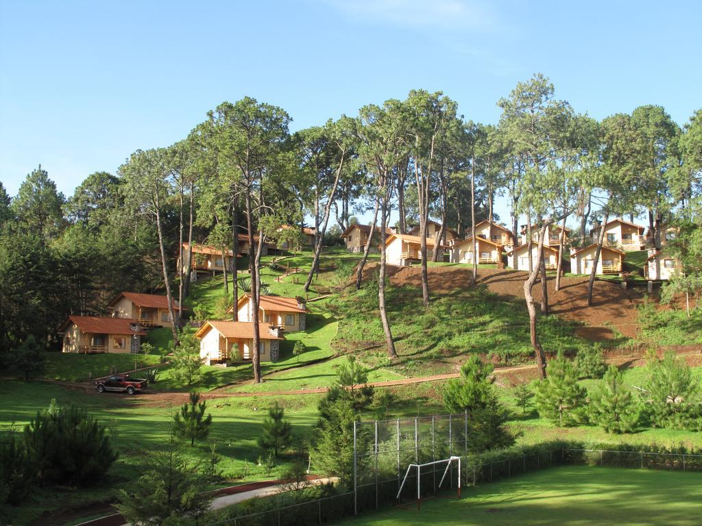 Bosque Escondido