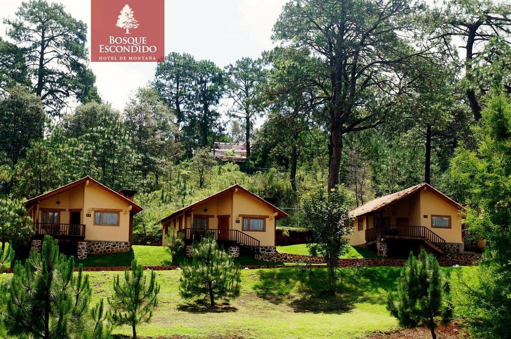 Hotel Bosque Escondido 5*