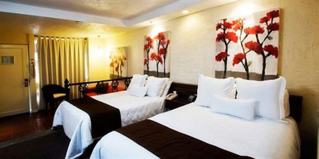 Nehotel Nueva