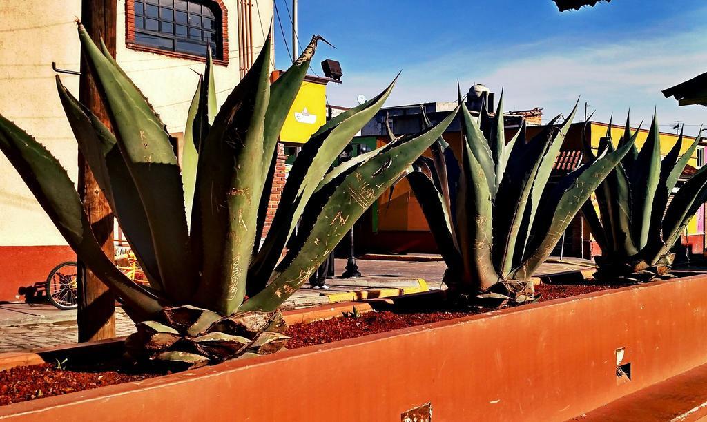 Biohotel Boutique Metepec
