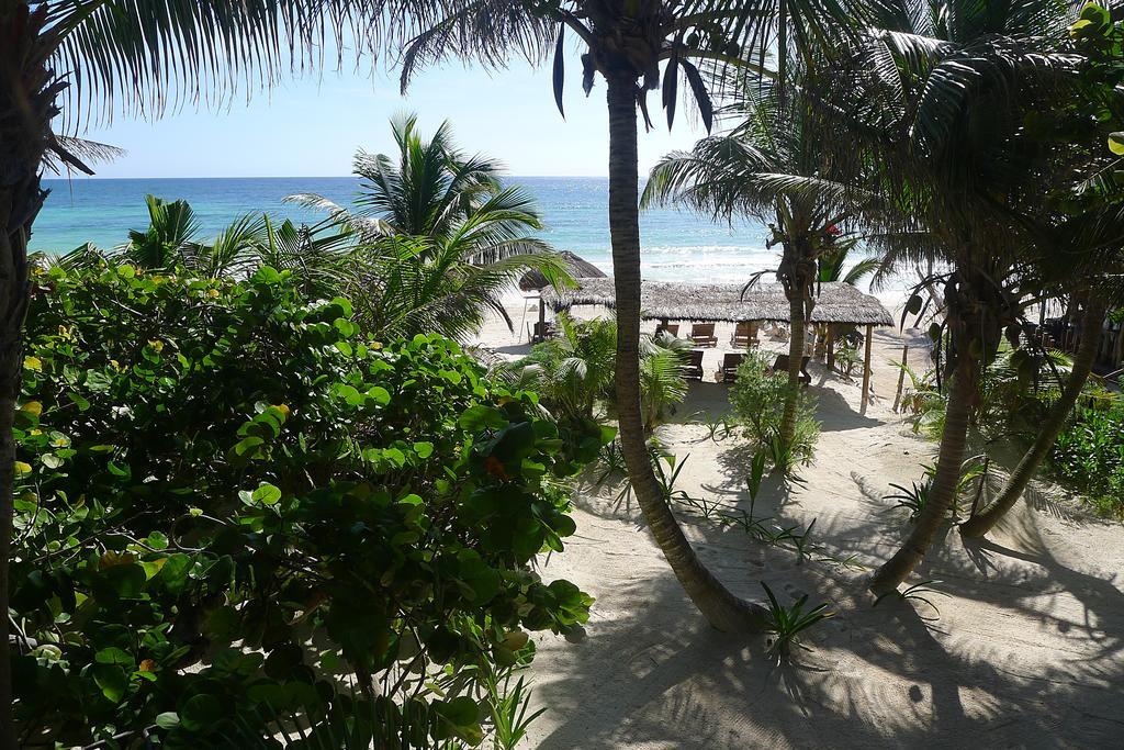 Hotel Amoreira 3*