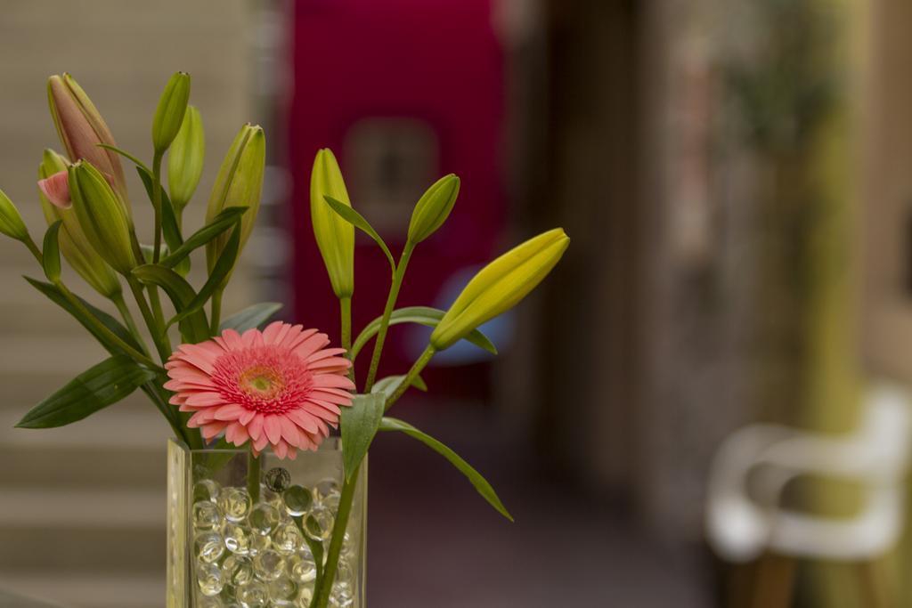 Hotel Monte Boutique & Galeria Leon