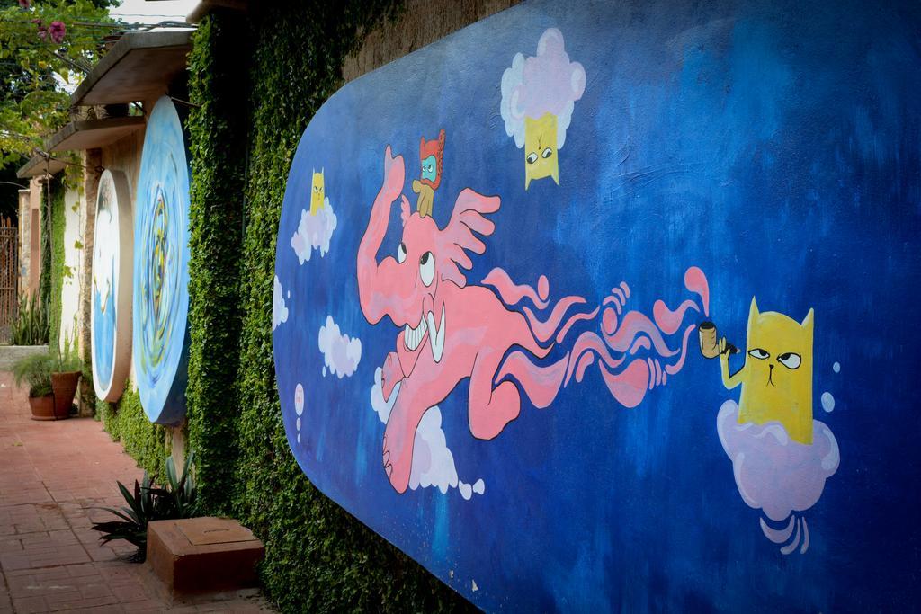 Zentik Project & Saline Cave