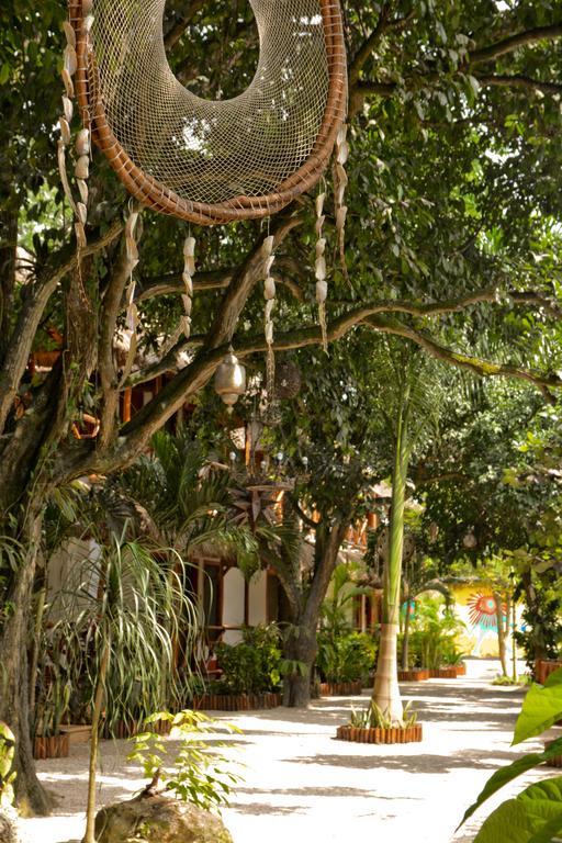 Zentik Project & Saline Cave Hotel Valladolid (Yucatan)