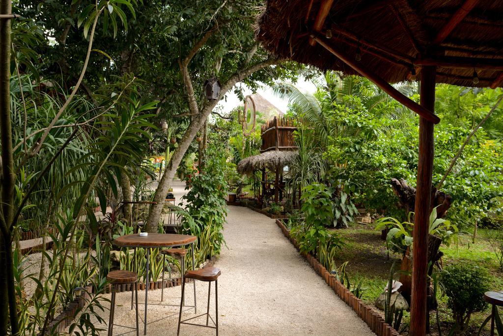 Zentik Project & Saline Cave Hotel Valladolid (Yucatan)
